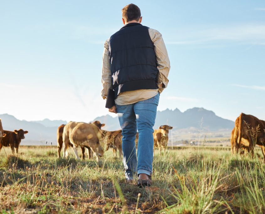 Farm Insurance Coverage